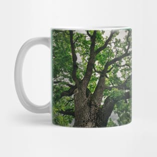 Oak Crown Mug